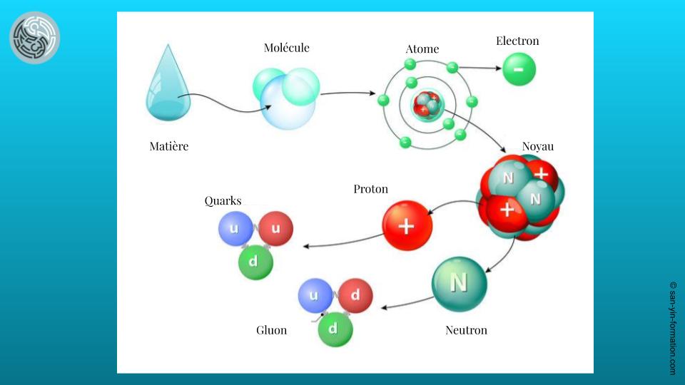 ANATOMIE PHYSIOLOGIE 1