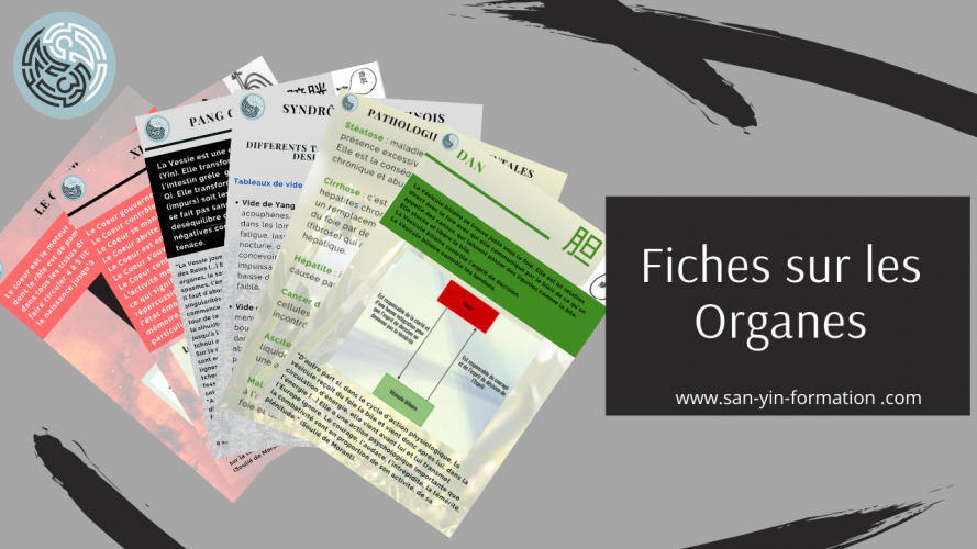 FICHE ORGANE PUB