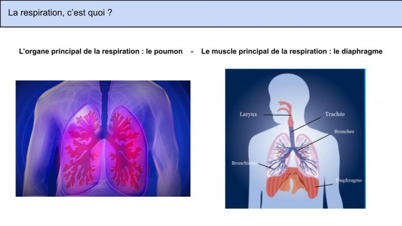 Respiration et energetique chinoise 2 f7367