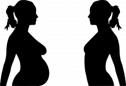 Vignette de 