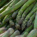 asparagus 2235457 1920