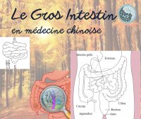 Clair Lumineux Solaire Photo de Turnesol Post Facebook 8