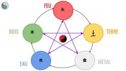 Vignette de Principes de la m&eacute;decine chinoise 