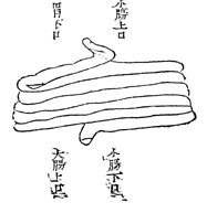 2020 02 02 at 14 19 29