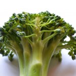 broccoli 390207 1920